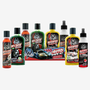 kit car clean (copia)